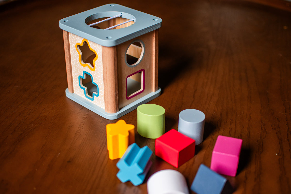 Shape Sorter Toy for Toddlers | Educational Shape & Color Learning Activity