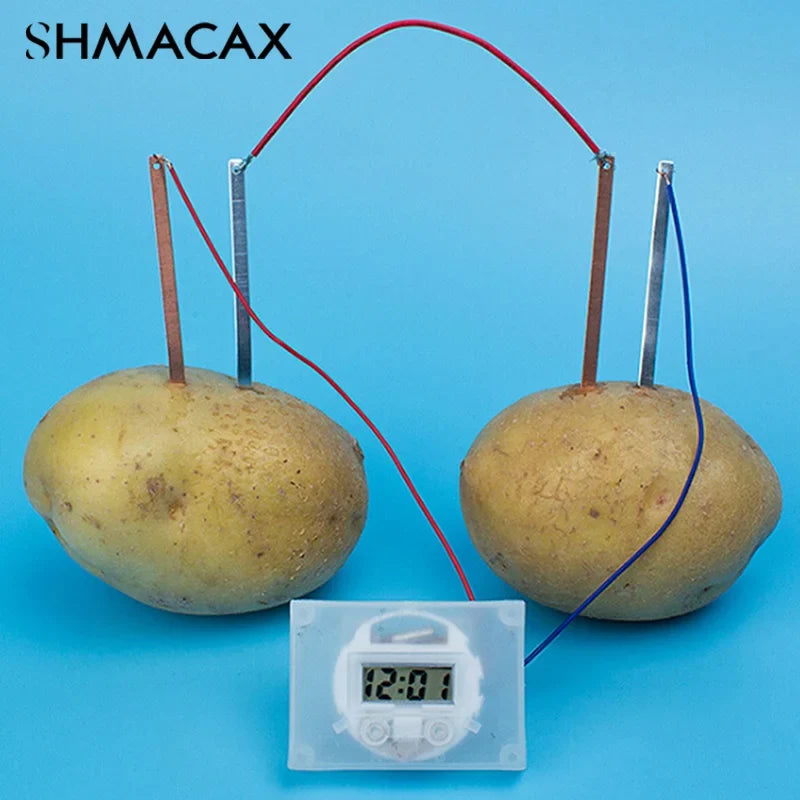 Potato Battery Science Kit | Kids Bio Energy STEM Experiment Set
